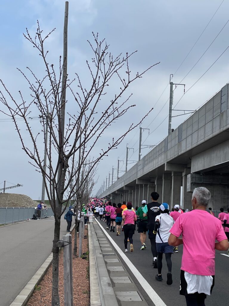 新九頭竜橋付近。この時はまだ元気だったのですが…。